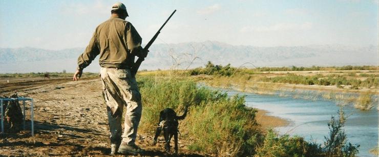 About Your Dog Trainer