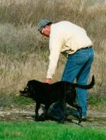 About Your Dog Trainer